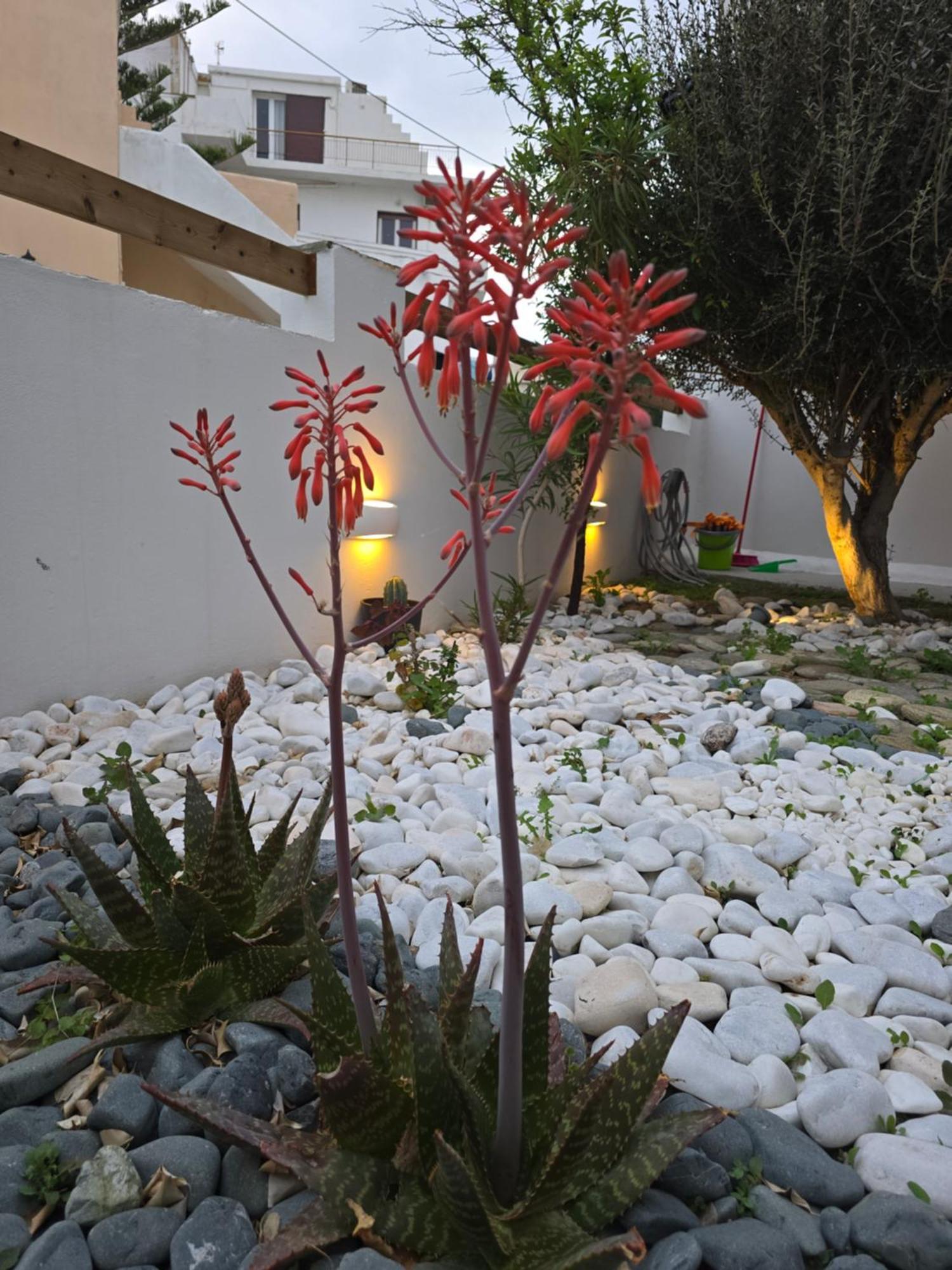The Garden House Villa Tínos Buitenkant foto